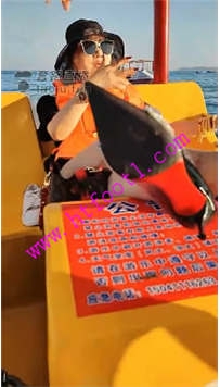 TL20691 乐爷S海上调奴霸道女王42分钟