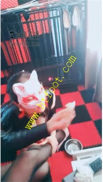 TL22986 午夜小妈】遛母狗27分钟