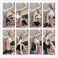 月影儿 重度考核一只狗