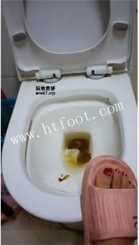 ZB6065 义乌漂S】软黄金滚去吃28分钟