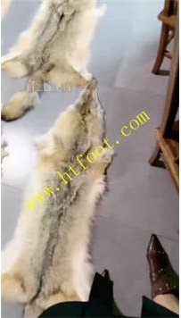 TL40744 沅芷】小奶狗命运小转盘37分钟