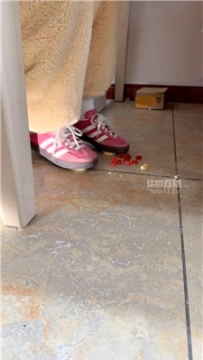 【第一视角】【嘀嘀哒嘀】踩小面包    260203-6