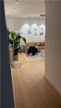 【调教视频】【小田】剧情-老师家访被我调成狗 JS250526-19