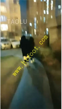 TL27959 羽诺】奴陪伴夜跑30分钟