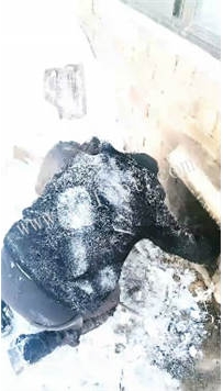 ZB2034 银南女帝】调教家奴40分钟