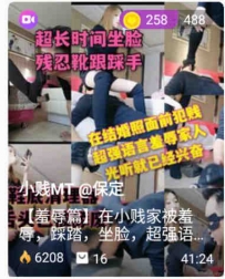 TL24274 小贱MT】在小贱家被羞辱踩踏做脸超强语言羞辱41分钟