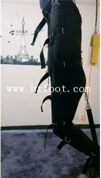 TL17565 泽安安S笼子G加束缚带起吊87分钟