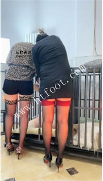 ZB3227 啊晴】圈养游戏37分钟