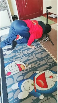 ZB3097 平凡】开发宠物50分钟