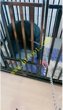 TL35104 缘彼】笼子里的渴望65分