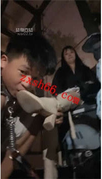 TLZB26156小饭团-户外遛狗楼道训狗调教30分