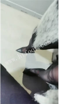 ZB641 西北傻子】足疗店颜值女神51分钟