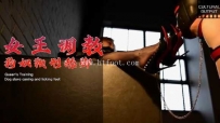 28375  国产高端巨作《女王调教—狗奴鞭刑舔脚》女王黑丝美足调教狗奴闻脚鞭打口水