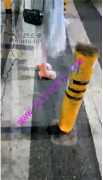 TL20102 梵高M被路人发泄女打巴掌95分钟