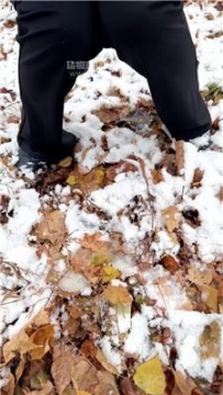 【调教视频】【77夫妻】冰天雪地遛人形犬 JS251116-51