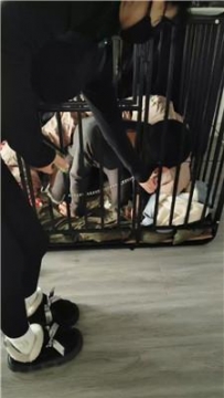 【调教视频】【宝宝大大】囚禁狗笼彻底犬化 JS250122-9