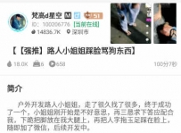 TL20636 梵高M路人小姐姐踩脸骂苟东西100分钟