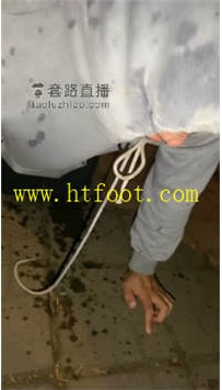 TL32014 鬼鬼】户外推介40分钟
