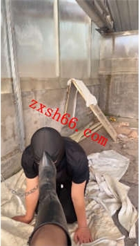 TLZB25914 77夫妻-犬舍来了一条狗23分