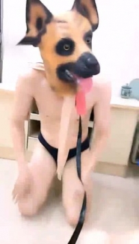 13091【S星球女皇帝】家犬强化训练