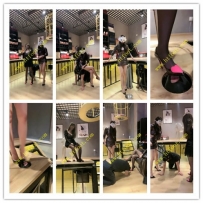 妆主大大 彻底犬化