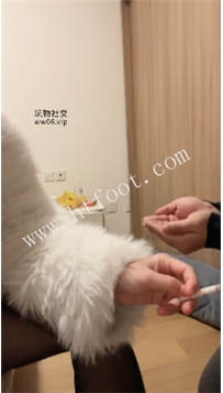 ZB1767 小渔】日常调教37分钟