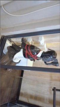 【调教视频】【kitty】物化人体马桶 JS250704-9