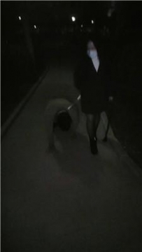 【调教视频】【沐颜】深夜户外遛狗踩踏处刑 bf49145