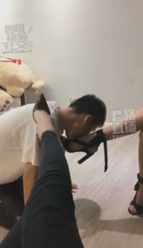 TL3245 毒药S 双主调教鸭子