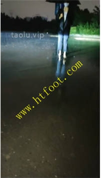 TL37355 辣姐】户外风雨中的狗34分钟