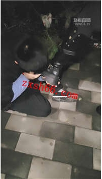 TLZB25868忘忧情侣主-户外虐玩狗奴47分