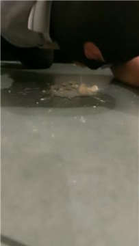 【调教视频】【颜值】长靴碾压踩喂食 bf57875