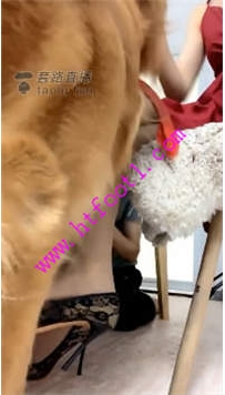 TL20898 成都DSisley桌子底下装垃圾后面给主人清理74分钟