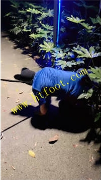 TL36717 绝美双主】容嬷嬷扎挣了60分钟