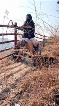 【调教视频】【薇薇】户外强制训野狗 bf60658