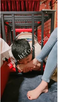 TL47273 兔兔大人】圈养狗59分钟