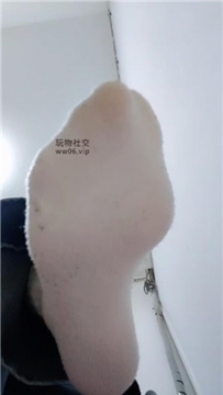 【第一视角】【上海汤圆】灯学狗叫    250202-21