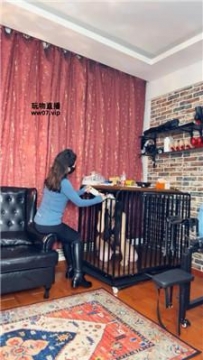【调教视频】【冷颜】母畜-囚禁狗笼羞辱虐  JS250413-10
