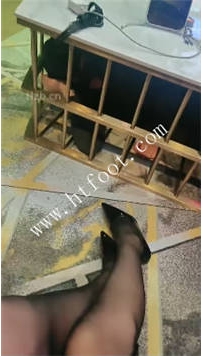 TL42621 咩祖】压缩在茶几里面的狗41分钟