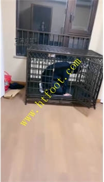TL26434 仙女殿下】圈养了几天拉出来暴打32分钟