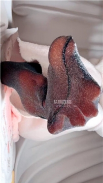 【第一视角】【乔乔在这里】洗脑媚脚sb    251221-20