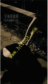 TL22870 丹丹】户外玩狗31分钟