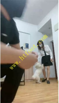 TL32852 猫咪大大】上课调教42分钟