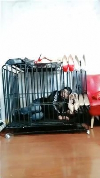 【调教视频】【冰炫】囚禁狗笼犬化【双视角版】 JS250315-36