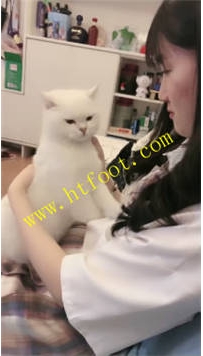 NNTL35660 貂蝉】二次开发闺蜜47分钟