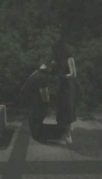 TL9971 艾莎 户外教训笨狗