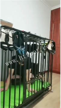 NNTL48806 凌儿】喝马桶圣水36分钟