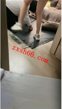 TLZB26229橙子-运动鞋白袜调狗除臭舔脚20分