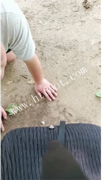 TL48182 你的女王驾到】公园遛狗127分钟【视频偶尔不太流畅】