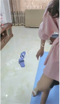 TL46777 潍坊潍县萝卜】食物链的顶端是65分钟